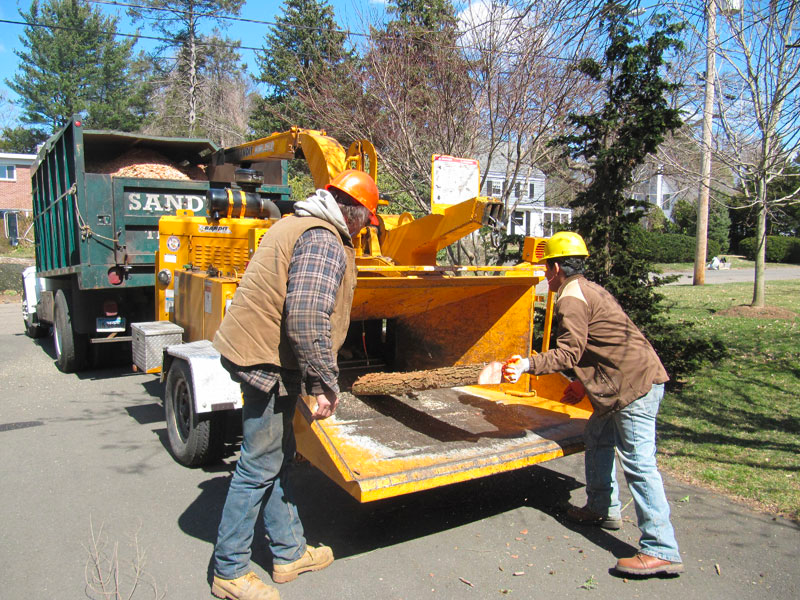 Big tree chipper machine