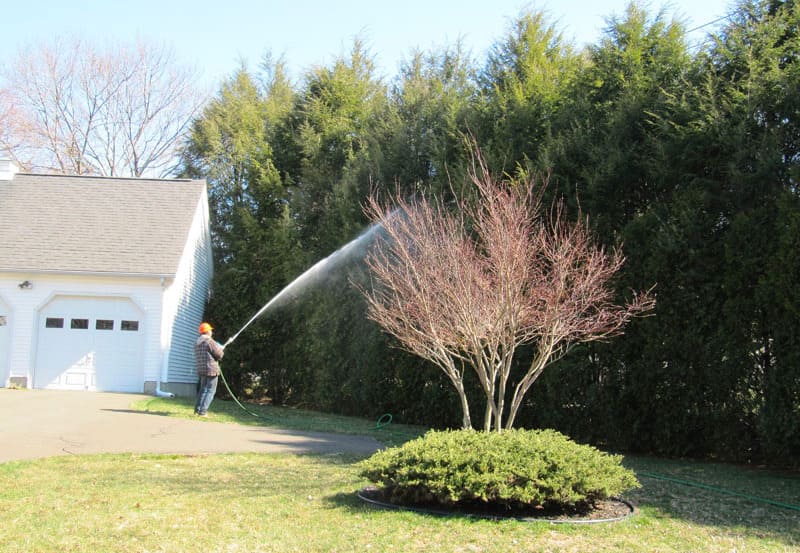 Landscaping maintenance and plant watering services