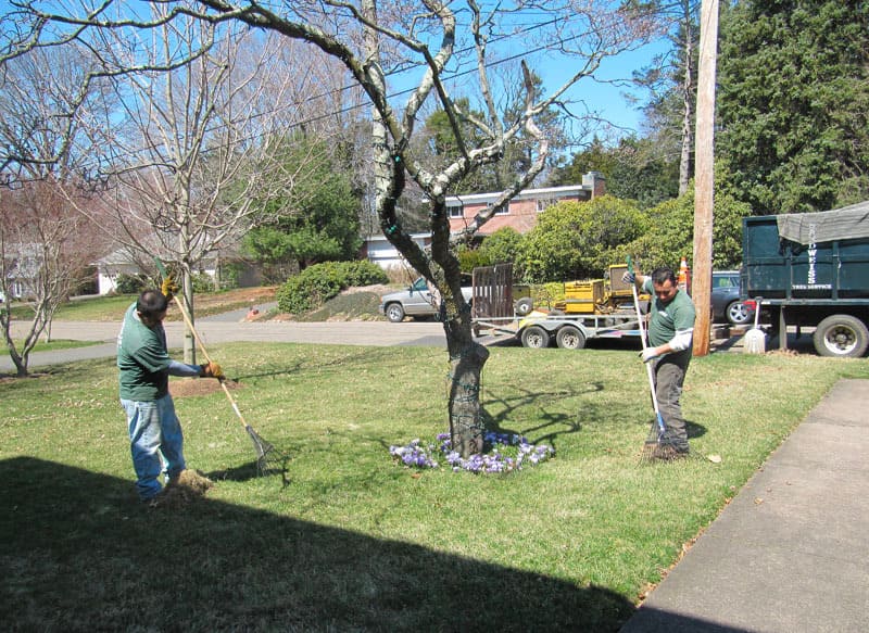 Cleaning grass by sandweiss tree team